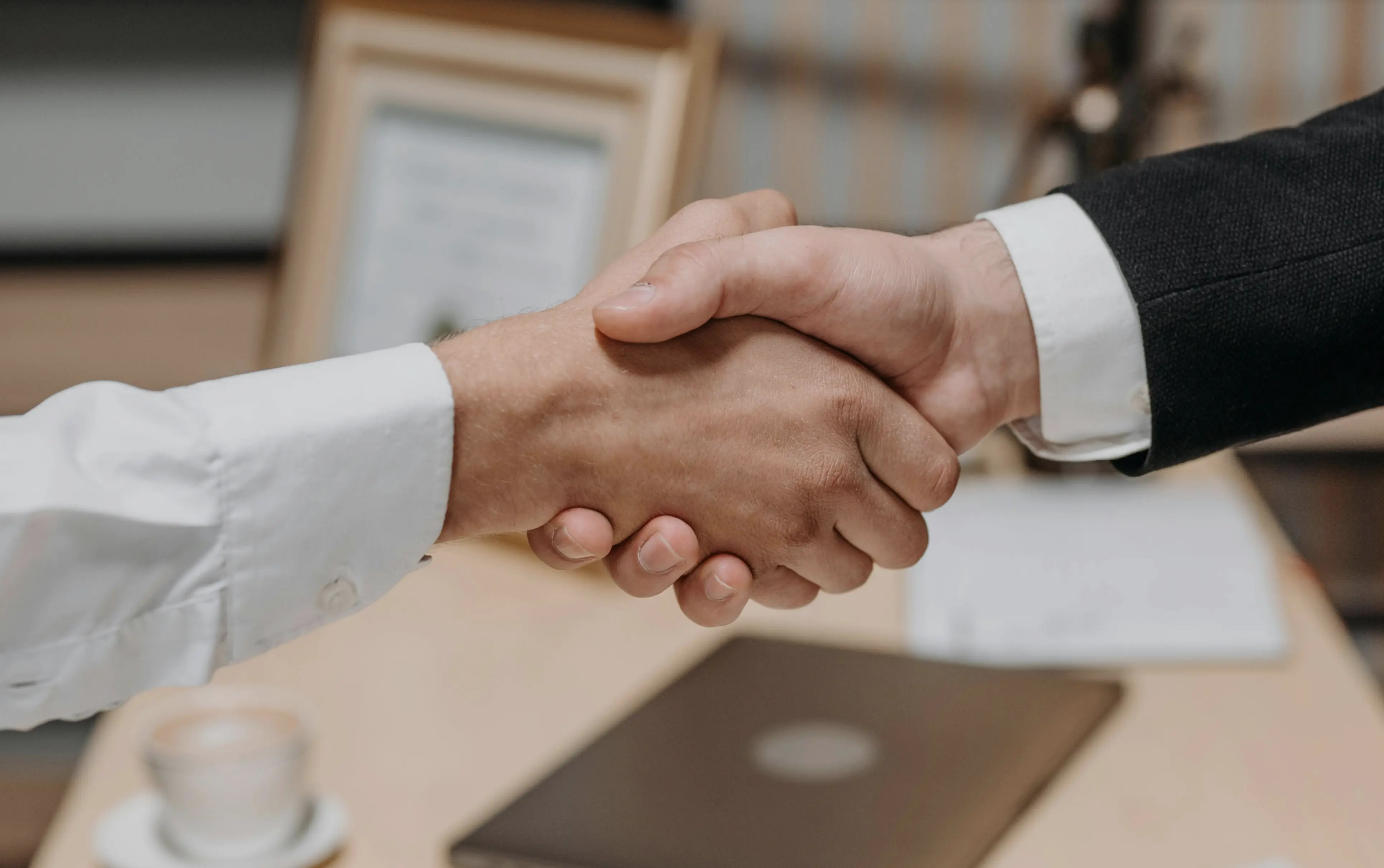 We build, train, go live